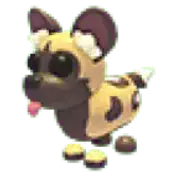 African Wild Dog