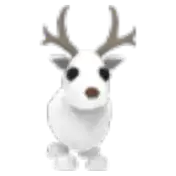 Arctic Reindeer