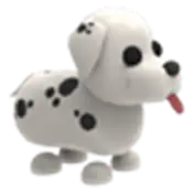 Dalmatian