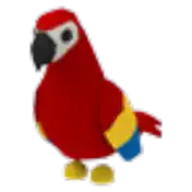 Parrot